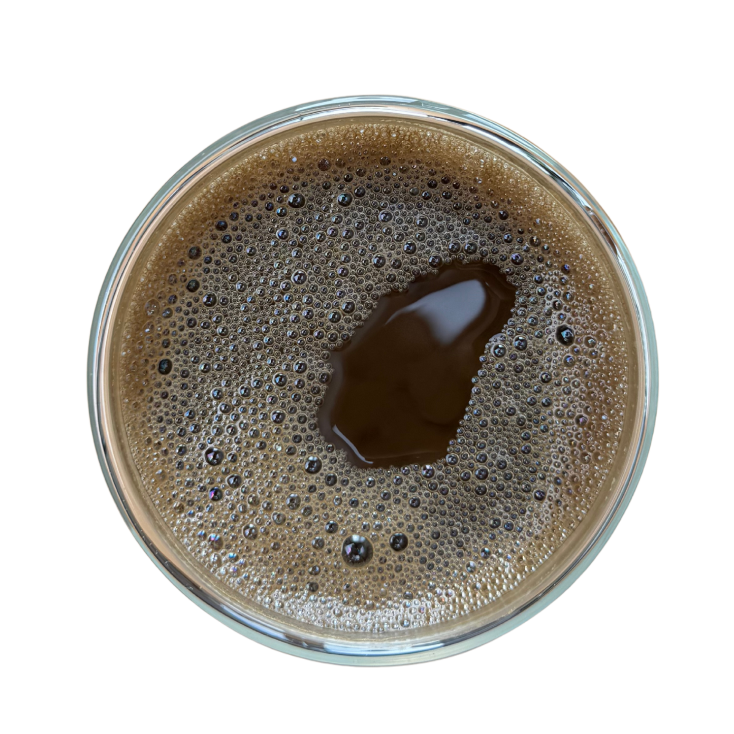 Bio Hojicha Pulver 50g